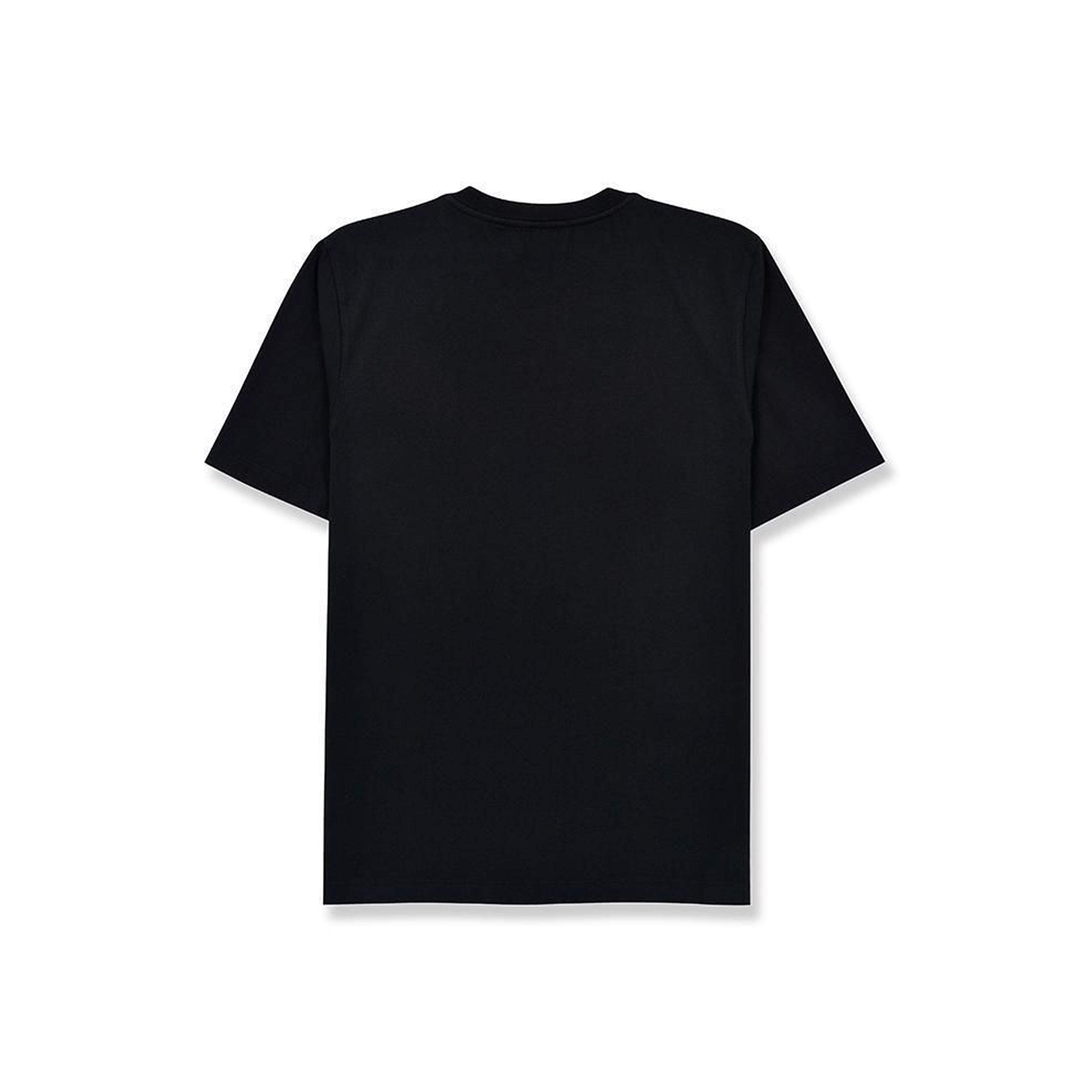 Remera Regular